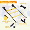 Sportneer Agility Ladder Speed Training Set 12 Rungs 20ft Detachable Exercise Ladders in 2pcs (6 rungs Each) with Ground Stakes for Soccer Football Footwork Training Ladder with Carry Bag(Yellow)