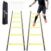 Sportneer Agility Ladder Speed Training Set 12 Rungs 20ft Detachable Exercise Ladders in 2pcs (6 rungs Each) with Ground Stakes for Soccer Football Footwork Training Ladder with Carry Bag(Yellow)